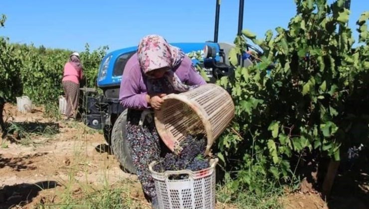 2024 yılıyla ilgili eser takviyeleri açıklandı. Üreticiler maliyete dikkat çekti