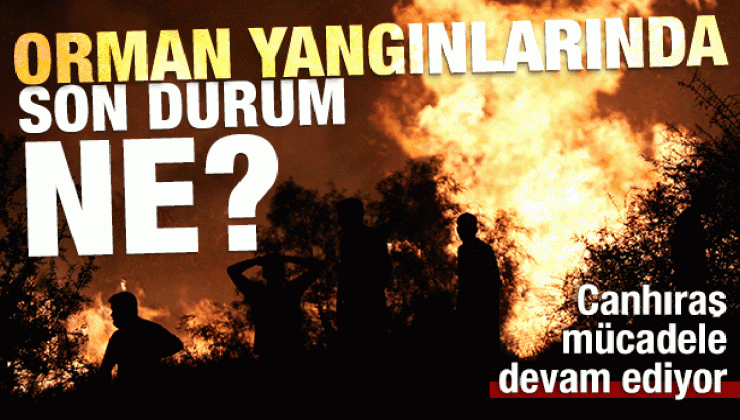 4 bir yandan alevlerle canhıraş mücadele! Orman yangınlarında son durum ne?