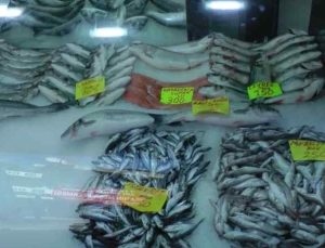 Akçakoca’da Amatör Balıkçılığa Yeni Düzenlemeler