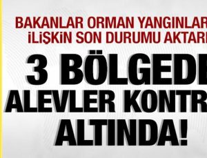 Alevlerle canhıraş mücadele! Orman yangınlarında son durum ne?