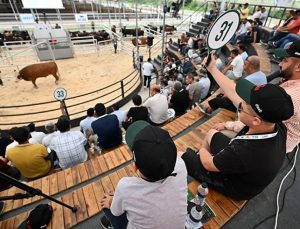 Aracılık masraflarını ortadan kaldıran mezat!