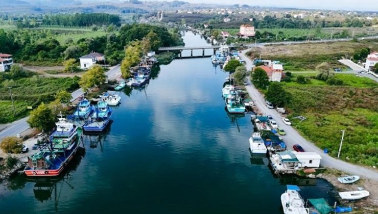 Balıkçılar yeni dönemde palamutta bolluk bekliyor