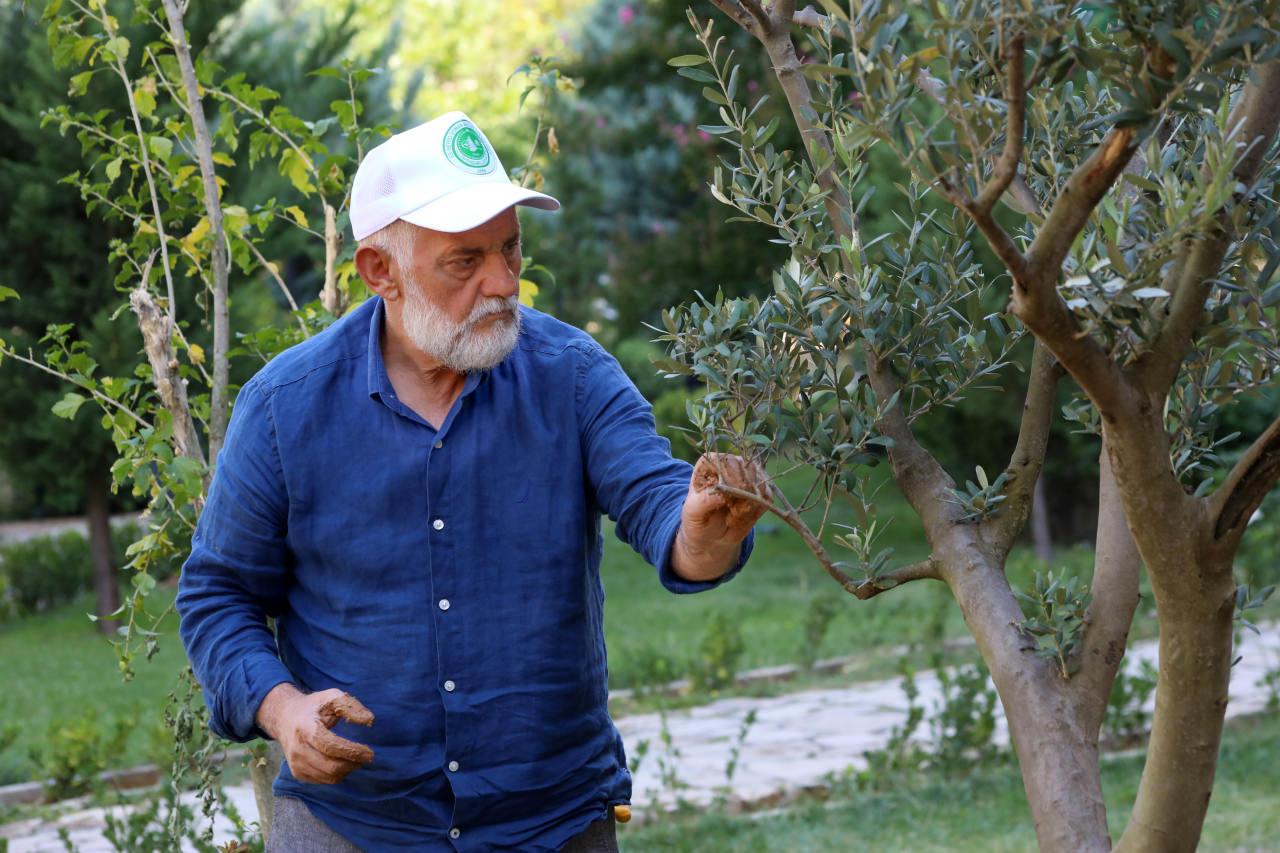 Emekli esnaf 5 yılda 18 kentte fidan dikti!