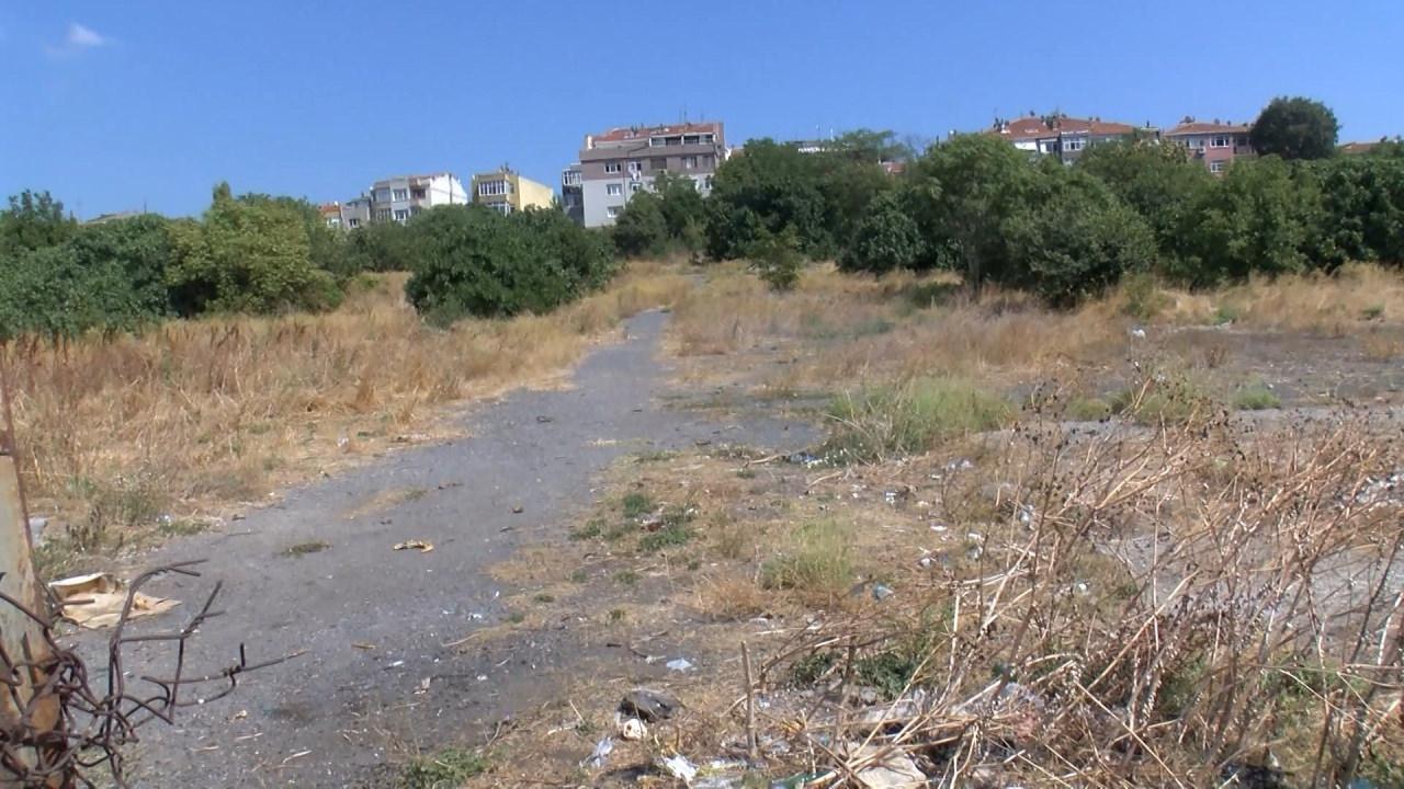 Fatih’te vahim ölüm! Çok sayıda başıboş sokak köpeği genç adamı parçaladı