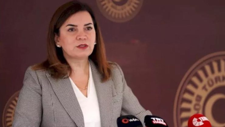 MHP’den Dilek Fazilet açıklaması