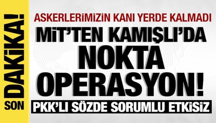 MİT’ten Kamışlı’da nokta operasyon: PKK’nın kelamda sorumlusu etkisiz hale getirildi!
