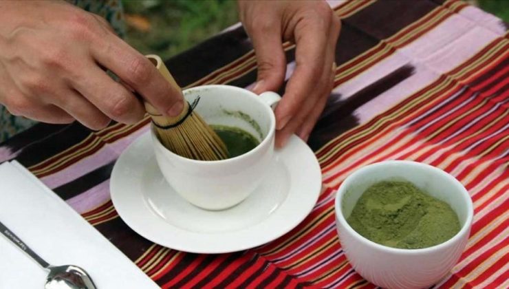 Rize Ziraat Odası çay üreticisine dayanak için çay tohumu yağı fabrikası kuruyor