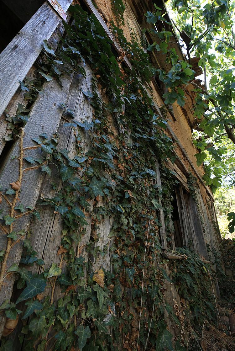 Sakarya'da asırlık cami, onarımla ibadete açılacak
