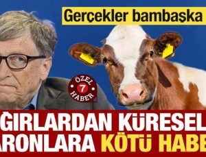 Sığırlardan küreselci baronlara makus haber! Gerçekler değişik çıktı