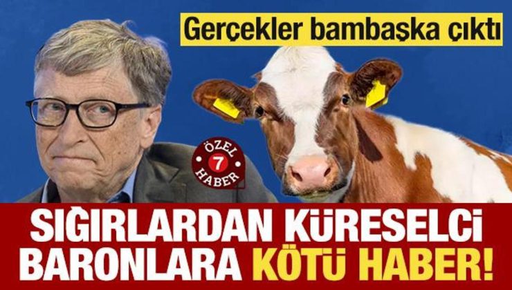 Sığırlardan küreselci baronlara makus haber! Gerçekler değişik çıktı