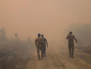 Son Dakika… Ankara-Bolu hududunda orman yangını: Bir kişi gözaltında