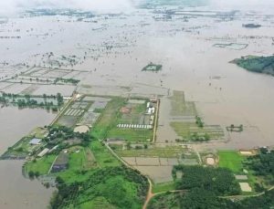 Tayland’da sel ve toprak kayması: 22 meyyit, 19 yaralı