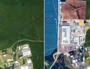 Tesla fabrikası için 500 bin ağaç kesildi