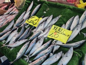 4 günde 100 ton yakalanınca palamudun fiyatı 40 liraya indi