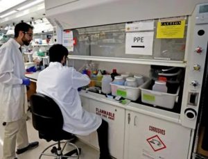 ABD’de birinci kere görüldü! Hayvanla teması olmayan bir beşerde kuş gribi çıktı
