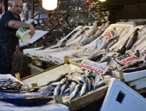 Balık fiyatlarında düşüş başladı!