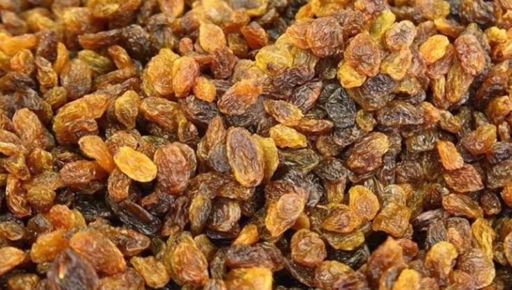 Çekirdeksiz kuru üzüm dönemi 490 milyon dolar ihracatla kapattı
