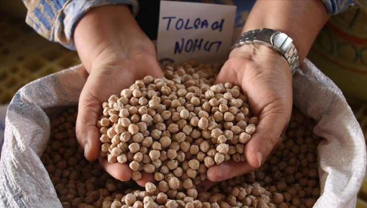 Çukurova’dan ziraî üretime yeni nohut ve arpa tohumları kazandırıldı