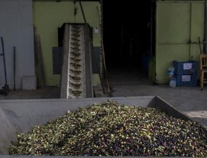 Dökme ve varilli zeytinyağı ihracatına uygulanan fon kesintisi kaldırıldı