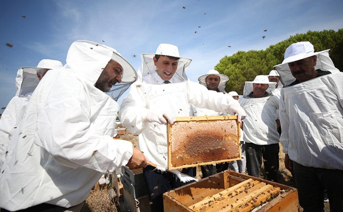 "Efe arısı"nın balı birinci kere hasat edildi