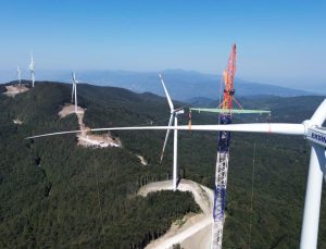 Eksim Güç Pak Güç Yatırımlarında  Yaban Hayatını Koruyor