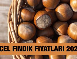 Fındık fiyatı ne kadar, kaç TL 11 Eylül 2024? Trabzon, Ordu, Giresun, Samsun, Sakarya, Düzce aktüel fındık fiyatları