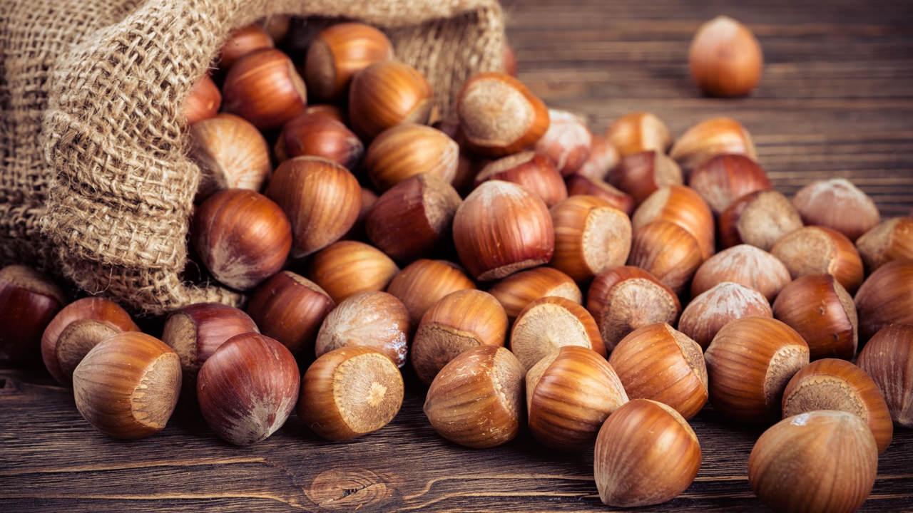 Fındık fiyatı ne kadar, kaç TL 3 Eylül 2024? Trabzon, Ordu, Giresun, Samsun, Sakarya, Düzce yeni fındık fiyatları