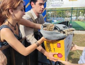 İstanbul Kadıköy’de en az 20 kedi ve bir köpek zehirlendi, gruplar katilleri arıyor