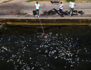 İzmir Körfezi’ndeki kirlilikle ilgili belediyeye 1,8 milyon lira ceza