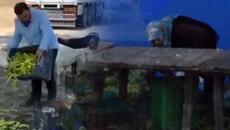 Kırsaldaki bayanların geçim kaynağı: Köylü Pazarı