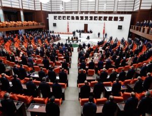 Narin Güran cinayeti Meclis gündeminde: ‘Tavşantepe köyündeki doğal olmayan ölümlerin hepsi araştırılsın’