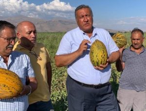 Ömer Fethi Gürer’in dinlediği Niğdeli kavun üreticisi: “Borcumuz var, traktör satılırsa traktörü, tarla satılırsa tarlayı satacağız”