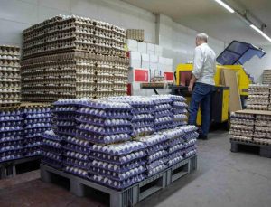 Yumurtada dönemlik indirim sona erdi fiyatlar yükseldi