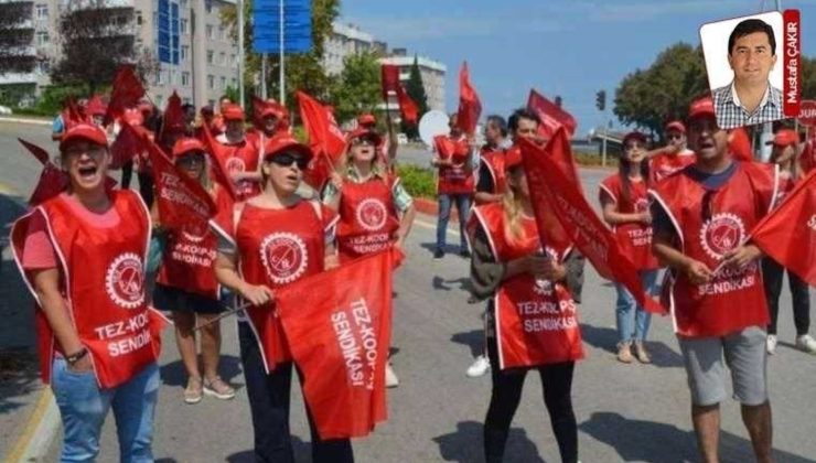 Asgari Ücret Tartışmalarına Yanıt: İddialar ve Gerçekler