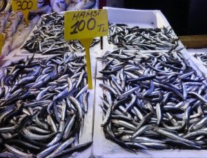 Fiyatı yarı yarıya geriledi: Tezgahta bolluk yaşanıyor