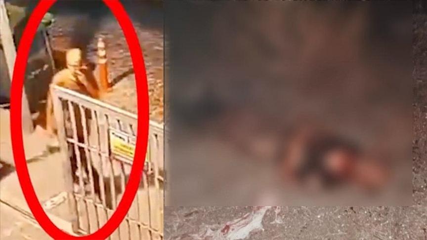 İsimli tıp raporu ortaya çıktı: Başıboş köpekler parçalayarak katletti