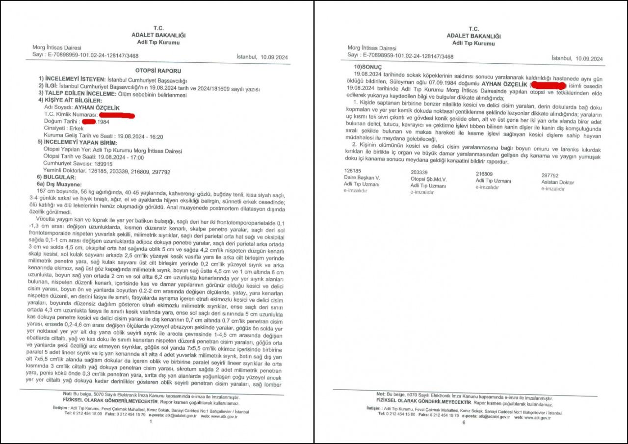 İsimli tıp raporu ortaya çıktı: Başıboş köpekler parçalayarak katletti