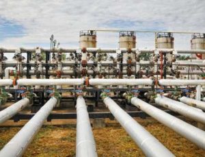 Avrupa’nın korktuğu başına geldi! Kabusu bitirecek şey: Türk harmanı!