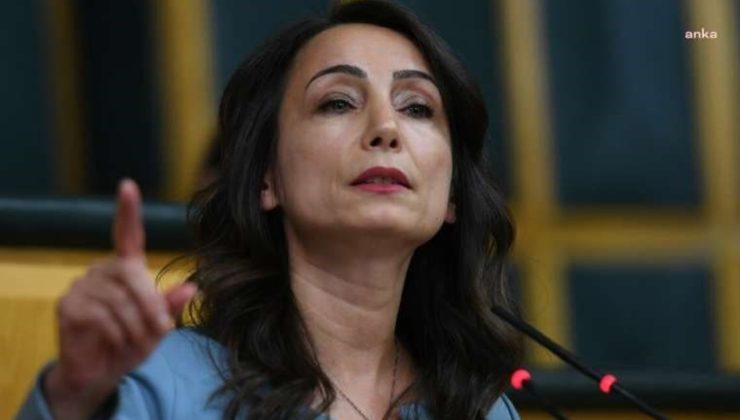 DEM Parti’den ‘Gülistan Doku’ iletisi:  Adalet sağlansaydı Rojinler, Narinler yaşıyor olacaktı