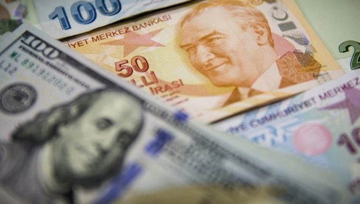Dolar ve Euro bugün ne kadar oldu? 14 Ocak 2025 Salı döviz fiyatları