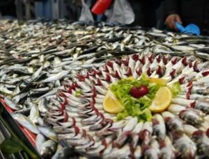 Hamsinin yokluğu fiyatları yükseltti!