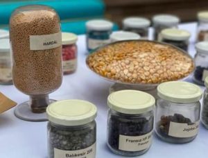 Tarım Kredi Marketler’de satışına başlanıyor! Bakan duyurdu