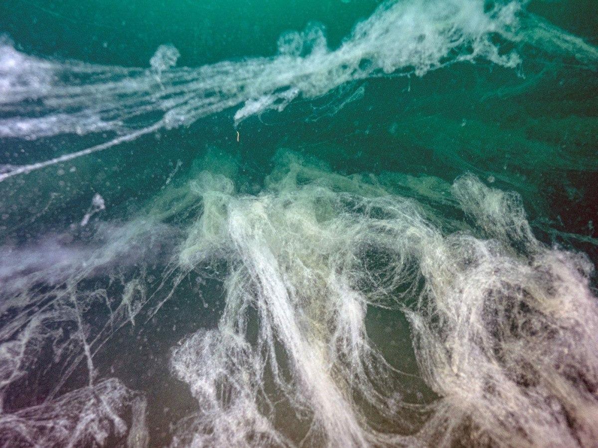 Tehlike artık büyüdü! Bütün Marmara'ya yayıldı