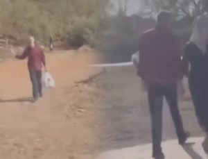 Fındık Hasadında Artan Hırsızlık ve Üretici Mücadelesi: Bölgelerde Güvenlik Önlemleri ve Fiyat Baskısı