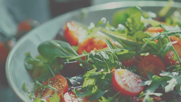 Vejetaryen beslenmenin mide ve sindirim sistemi üzerindeki etkileri üzerine yeni bulgular