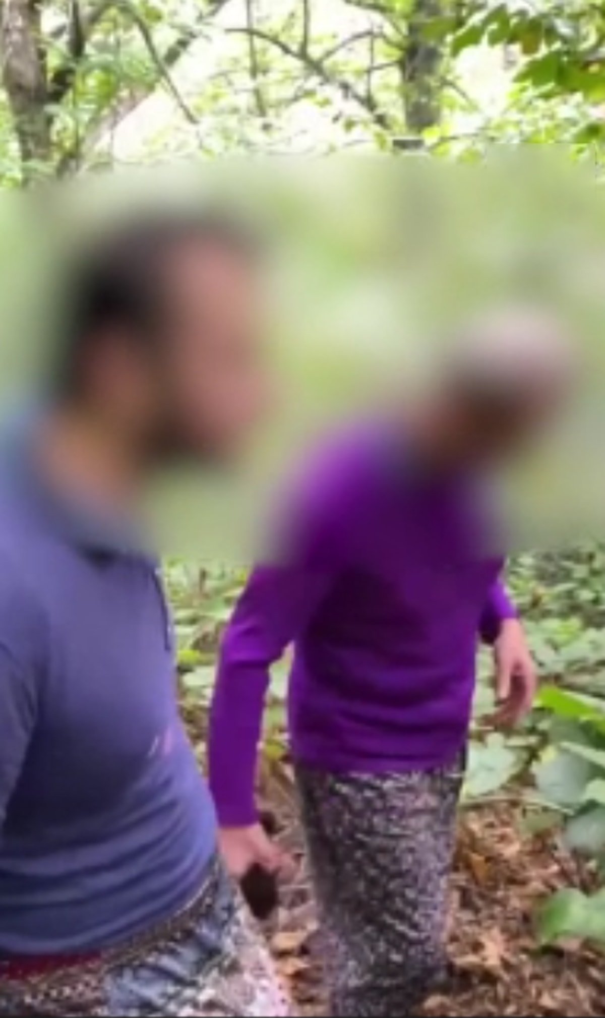 Baba ve oğlu fındık bahçesinde bayan kılığında yakalandı, imajlar viral oldu