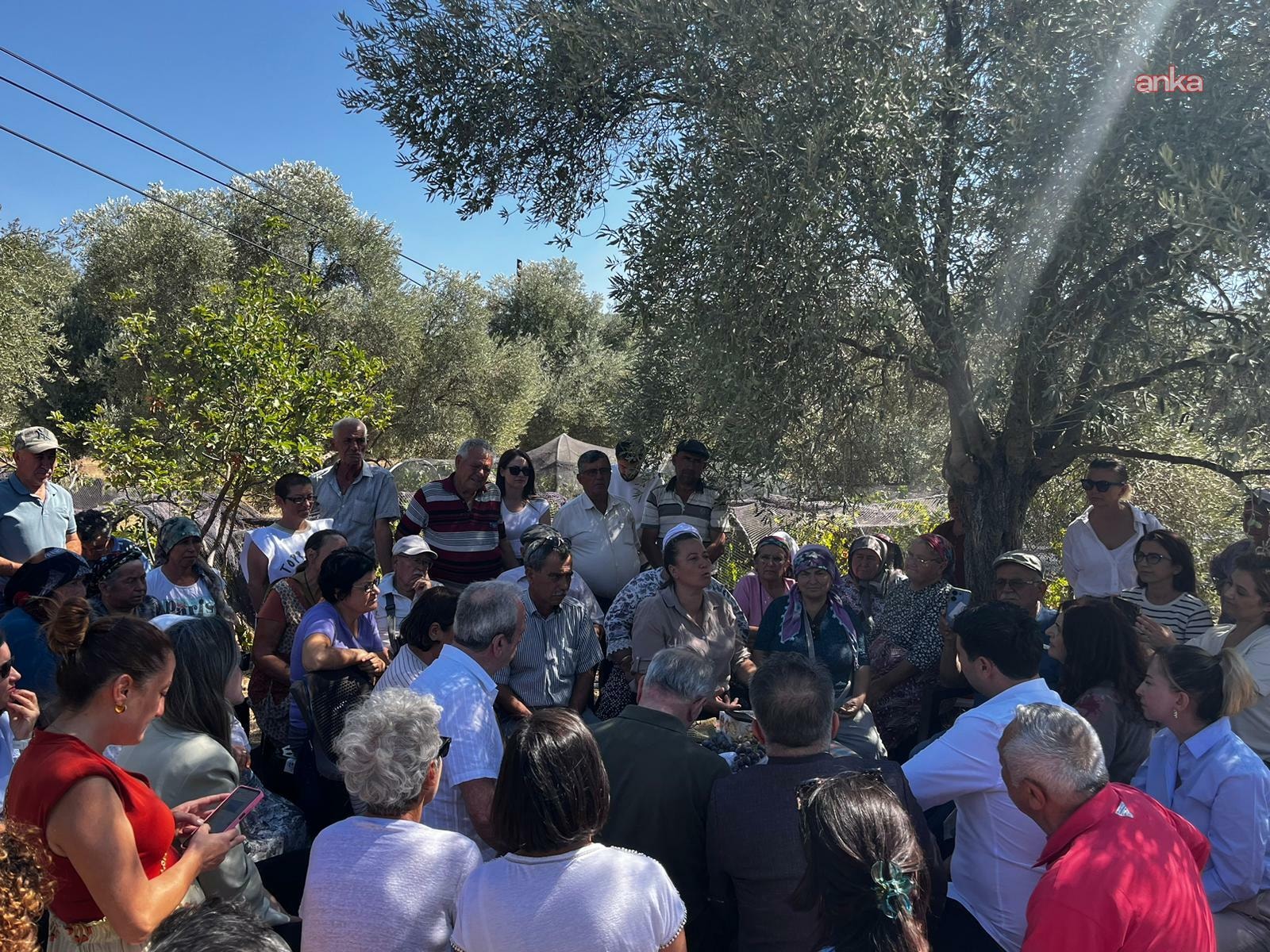 Barolardan Akbelen Direnişine dayanak: "Zeytinlikler, su kaynakları ve ömür alanları yok ediliyor"