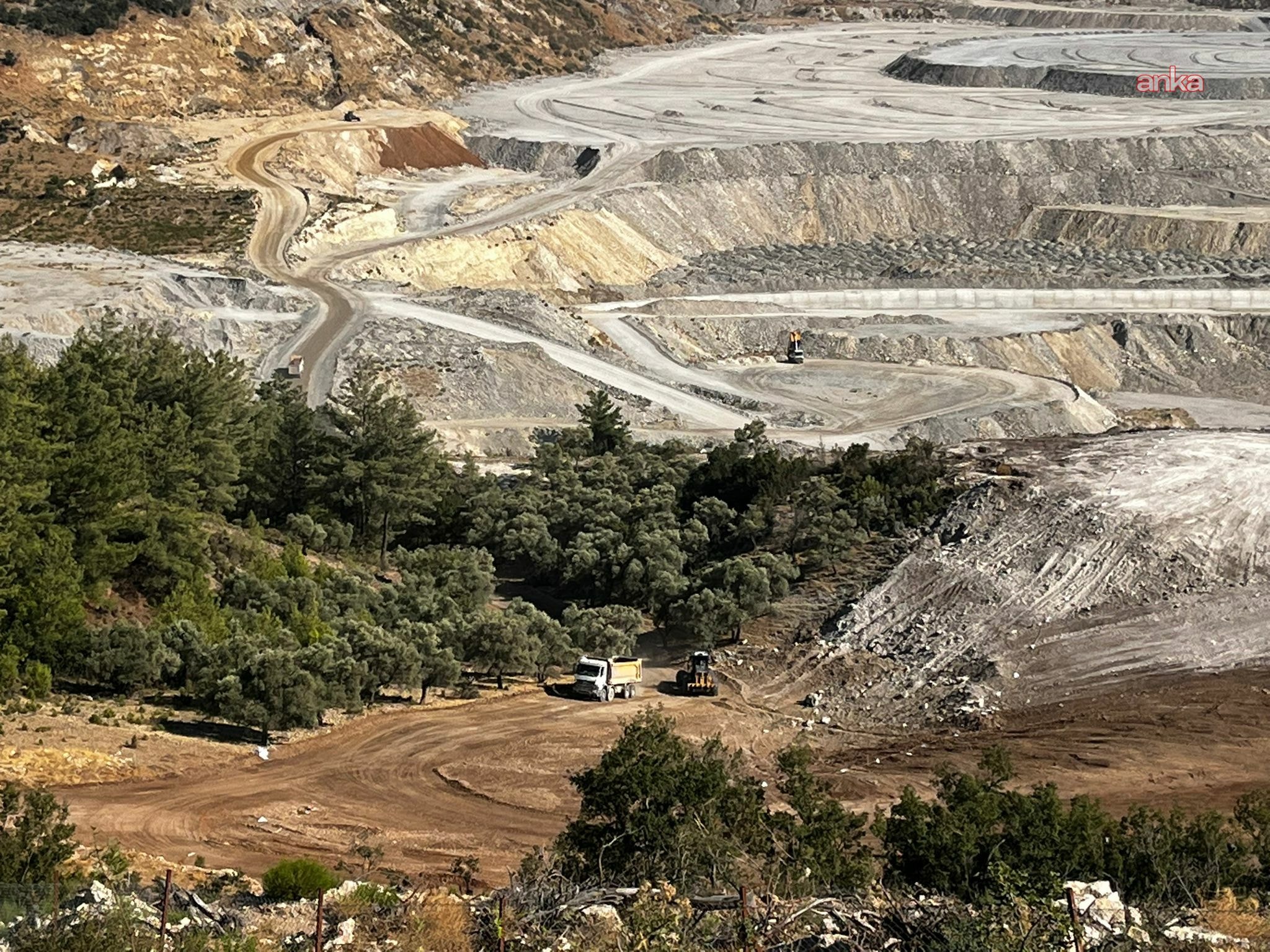 Barolardan Akbelen Direnişine dayanak: "Zeytinlikler, su kaynakları ve ömür alanları yok ediliyor"