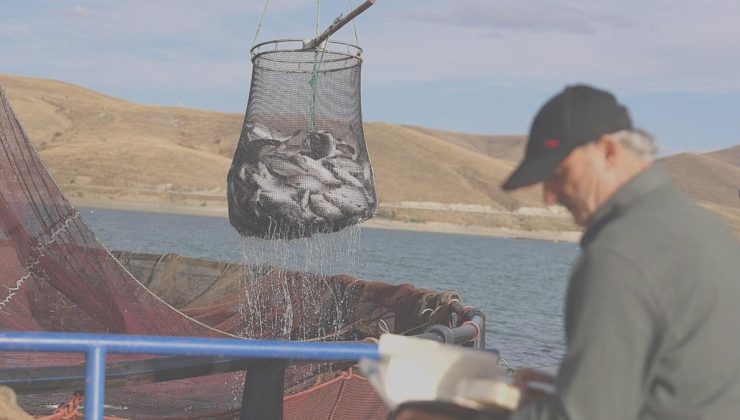 Bayburt’ta hasadı başladı: Tonlarca eser Rusya yolunda