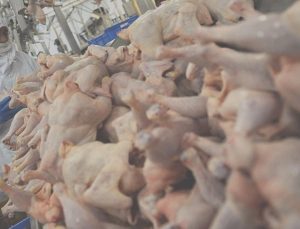Beyaz et üreticilerinden ‘fiyat artışı’ ile ilgili karşılaştırma: ABD’de 3 dolar, Almanya’da 5,5 euro